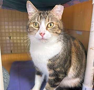 Photo of Zasha
