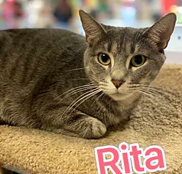 Photo of Rita