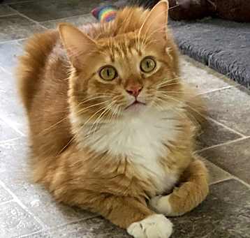 Photo of Willie