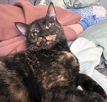 Photo of Amelia
