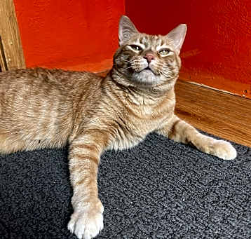 Photo of Sunny