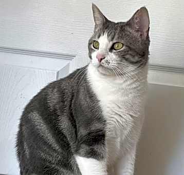 Photo of LEO STARBUCK