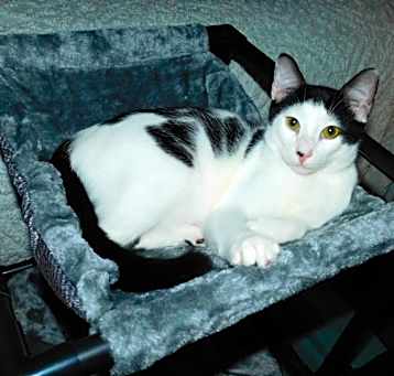 Photo of Moe (Moe-Jo)