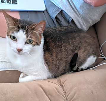 Photo of Charlie