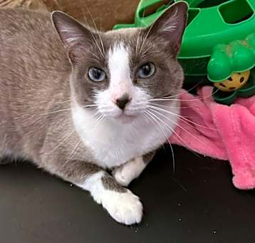Photo of Lexie