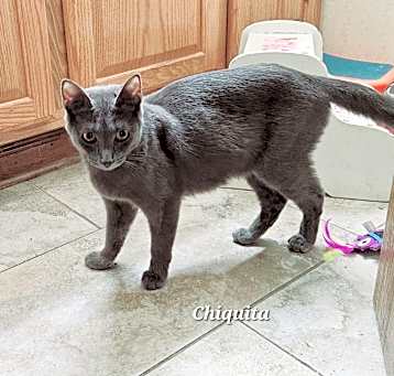 Photo of Chiquita