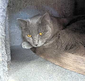 Photo of Carley