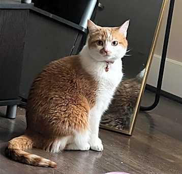 Photo of KIDA (COURTESY POST)