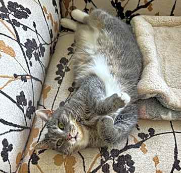 Photo of Maggie