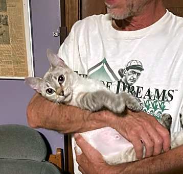 Photo of Mochacino bonded with Peach