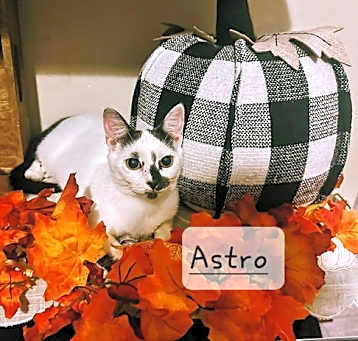 Photo of Astro #to-infiniti-and-back