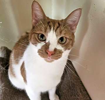 Photo of Manny