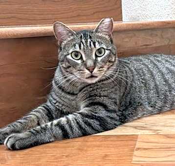 Photo of jules