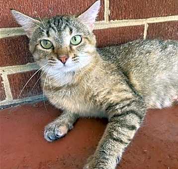 Photo of MAMA MARIBEL