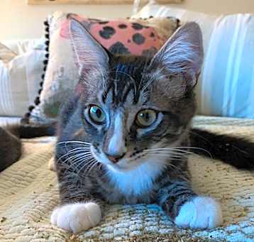 Photo of Marble
