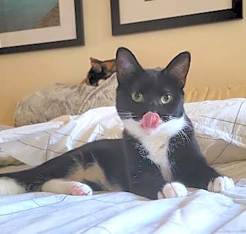 Photo of Lilah