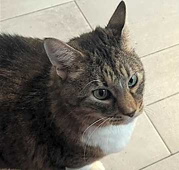 Photo of 'Salem'
