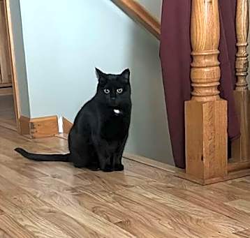 Photo of Orbit