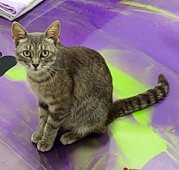 Photo of Margo