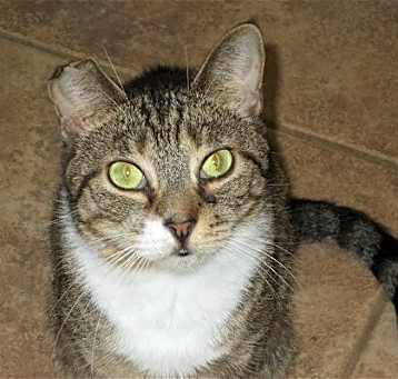 Photo of Sloop