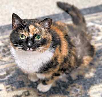 Photo of Rosie