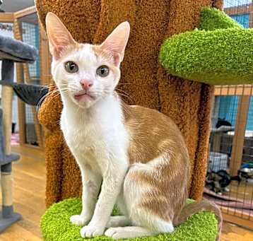 Photo of TINY