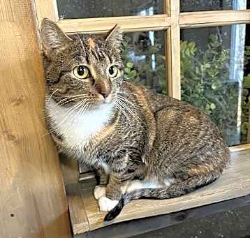 Photo of Dot