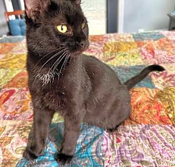 Photo of Cloud