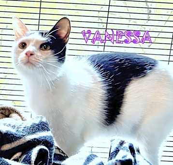 Photo of Vannessa
