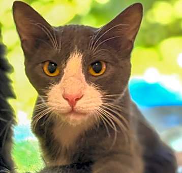 Photo of Butch