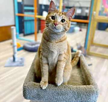Photo of Jelly Belly