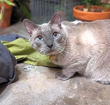 Photo of Winston 4685
