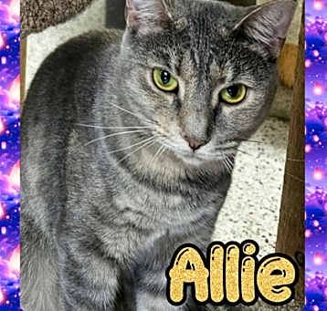 Photo of Allie
