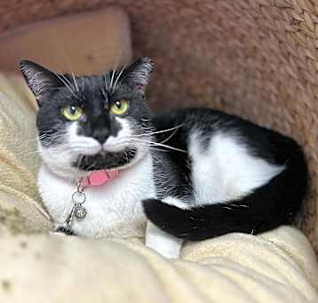 Photo of Lulu