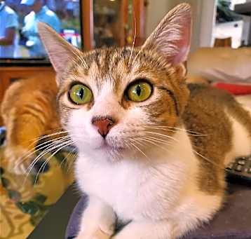 Photo of Mulan