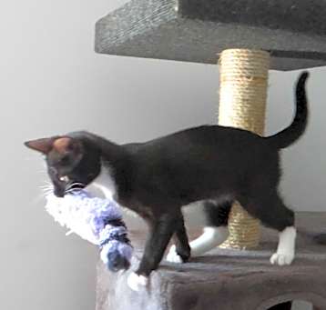 Photo of Jack