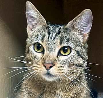 Photo of Rubie