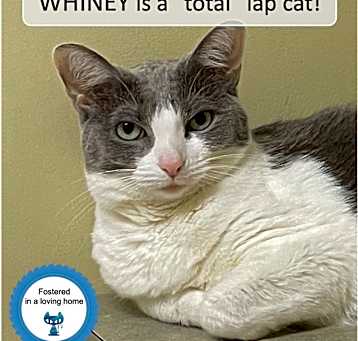 Photo of Whiney