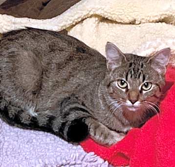 Photo of Wanda