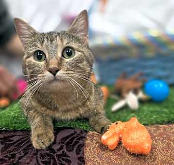 Photo of Mimi