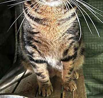 Photo of Momma Tabitha