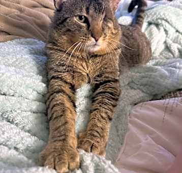 Photo of Mr. Tom