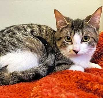 Photo of Wally