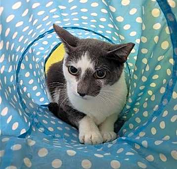 Photo of Jack