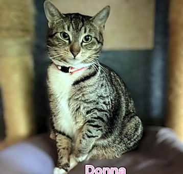 Photo of Donna