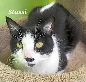Photo of Stassi