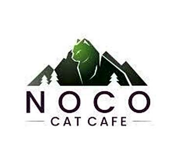Photo of NoCo Cat Cafe Kitty!