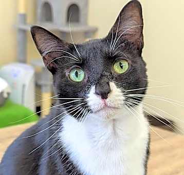 Photo of Missy