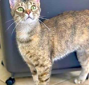 Photo of Sandy