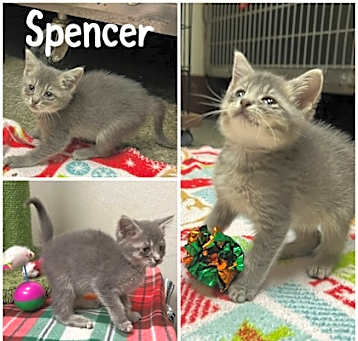Photo of Spencer (aka 1)